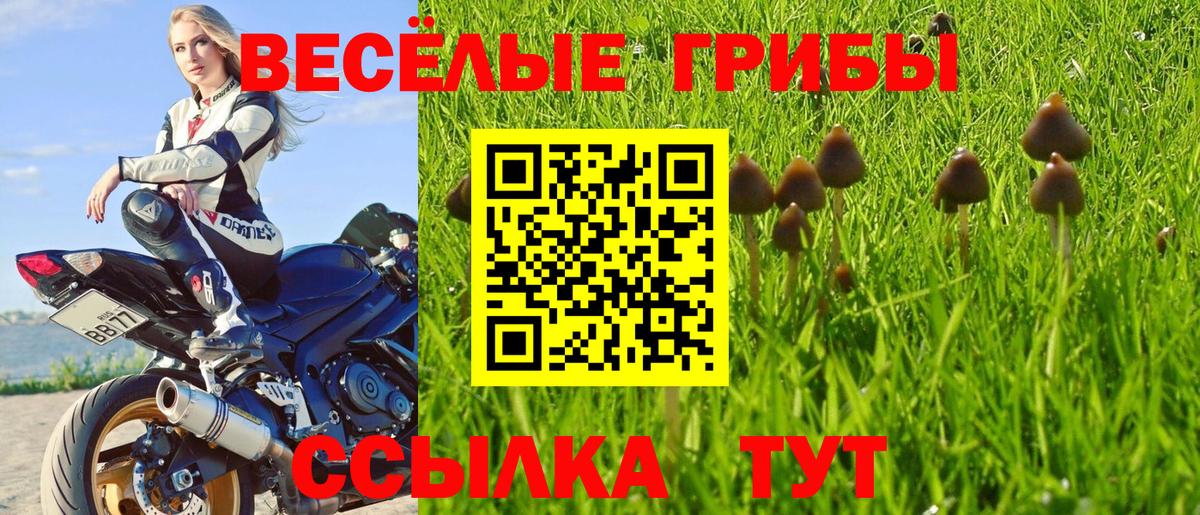 Псилоцибиновые грибы мухоморы  Галлюциногенные грибы GOLDEN TEACHER  Вход с VPN  Александров 